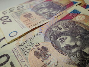 广州新增本土病例，疫情动态、防控措施与个人防护指南