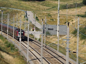 扬州疫情轨迹，追踪、理解与应对