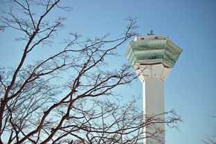 广州海珠区疫情新动态,9日新增2例阳性的应对与预防 广州海珠区疫情新动态,9日新增2例阳性的应对与预防