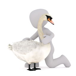 大鹅的忠诚，在生死之间，它们展现出的不可思议情感