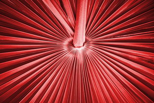 直线、射线与线段，几何学中的基本元素