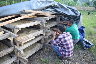 缅甸地震,灾难中的坚韧与希望 缅甸地震,灾难中的坚韧与希望