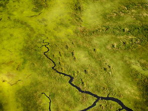 实木马赛克，自然之美与艺术的融合