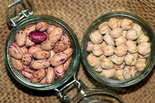 罂粟壳火锅,美味背后的法律警钟 罂粟壳火锅,美味背后的法律警钟