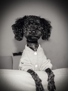 河南疫情新动态，5名阳性病例的发现及其影响