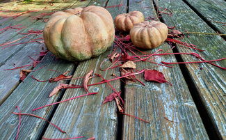 福建疫情新动态,新增本土确诊141例,防控措施与公众应对策略 福建疫情新动态,新增本土确诊141例,防控措施与公众应对策略