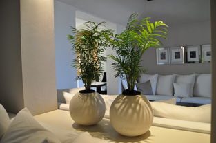 家庭装修全程攻略：十八步轻松上手