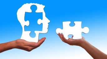 家装心得：感悟与理念解析