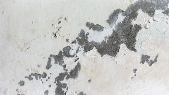 成都新都区的警钟，一例无症状感染者引发的深思