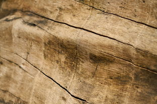 家居环保材料大盘点