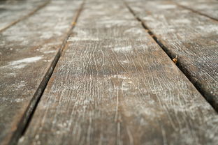 环保家装材料大盘点