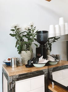 家居墙面涂装步骤详解