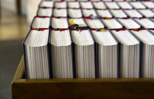 创意装饰，让排水管焕然一新