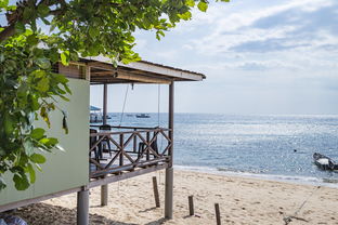 全环保家装,打造绿色家居生活 全环保家装,打造绿色家居生活