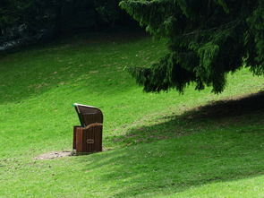 家居环保:守护健康,塑造绿色生活 家居环保:守护健康,塑造绿色生活