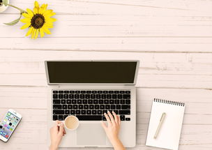 家装设计入门视频教程:轻松学会设计技巧 家装设计入门视频教程:轻松学会设计技巧