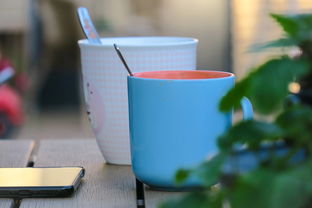 河北廊坊解封，最新动态与市民生活恢复指南