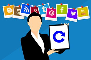 《2024家装宝典:全面指南新升级》 《2024家装宝典:全面指南新升级》