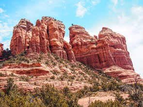 浙江疫情新动态，新增本土确诊44例的深度解析与应对策略