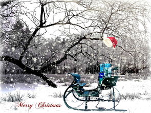 歌唱二小放牛郎，传承与创新的PPT艺术