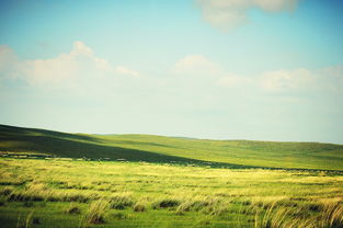 草原上的守护，锡林郭勒盟疫情的挑战与应对