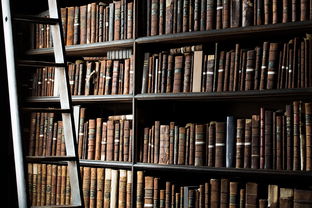 开启创作之旅,我的第一本书教案指南 开启创作之旅,我的第一本书教案指南