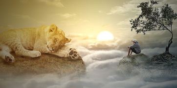 黄山奇石,自然奇观与教学实践的完美融合 黄山奇石,自然奇观与教学实践的完美融合