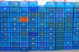 40尺高柜，物流运输中的巨人