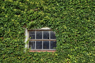 了解31省份新增36例输入病例，疫情动态与个人防护