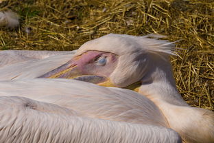 河南新增3例感染者,了解疫情动态,加强个人防护 河南新增3例感染者,了解疫情动态,加强个人防护