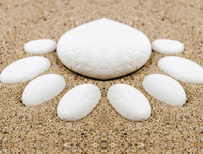 四川疫情新动态,昨日新增省内感染者32例的深入解析 四川疫情新动态,昨日新增省内感染者32例的深入解析