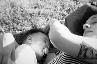 哈尔滨疫情最新动态，新增病例情况及防控措施