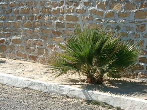 天津病例最新动态，深入了解今日疫情信息与防控措施