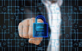 构建高效医药公司，深入理解管理制度的重要性