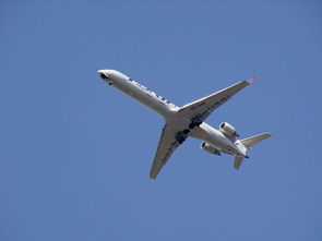 31省新增本土38例，疫情动态更新与防控措施