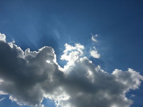 上海疫情新动态，理解新增确诊与无症状感染者的重要性