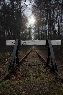 疫情新动态,31省新增4例本土病例分析与防控建议 疫情新动态,31省新增4例本土病例分析与防控建议