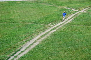 深入了解四中分数线,如何为孩子的教育未来铺路 深入了解四中分数线,如何为孩子的教育未来铺路