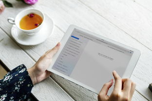 中考成绩查询入口网站，一站式服务，轻松掌握考试成绩