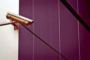 哈尔滨疫情新动态，新增本土确诊病例5例的应对与防护指南