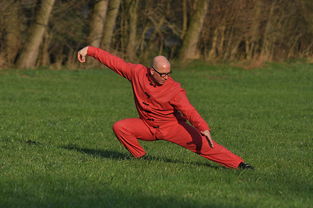 深圳疫情最新动态，防控措施与市民生活