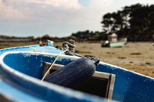 疫情新动态,31省份新增11例,本土病例仅1例—防控成果显著,但仍需警惕 疫情新动态,31省份新增11例,本土病例仅1例—防控成果显著,但仍需警惕