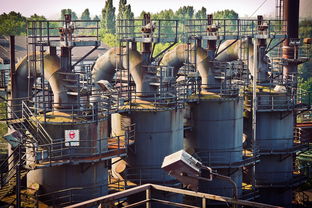 地理环境对区域发展的影响,深入解析与实践案例 地理环境对区域发展的影响,深入解析与实践案例