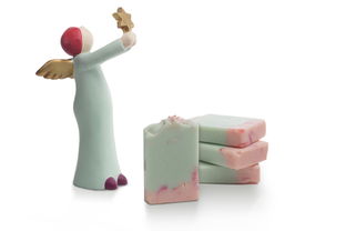 石家庄白肺谣言背后的真相，科学解读与公众健康意识提升