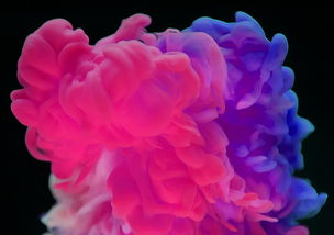 红磨坊窗帘，色彩与艺术的完美融合