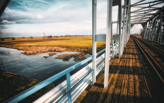 航拍广州大桥恢复通行,水马被搬开 航拍广州大桥恢复通行,水马被搬开