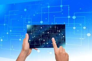 美国新冠肺炎确诊数超141万，疫情下的挑战与应对