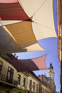 阳光板雨棚,为你的家增添一抹经济实惠的防护色彩 阳光板雨棚,为你的家增添一抹经济实惠的防护色彩