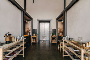 打造健康家居,全面了解装修去甲醛的策略与方法 打造健康家居,全面了解装修去甲醛的策略与方法