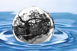 探索LOW玻璃的奥秘，节能与环保的双重奏